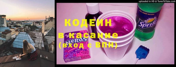хмурый Алзамай