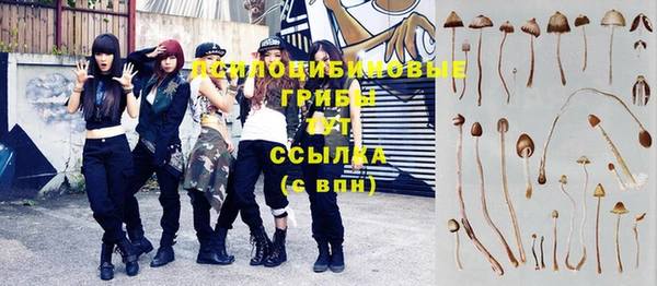 хмурый Алзамай