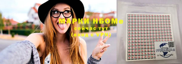 хмурый Алзамай